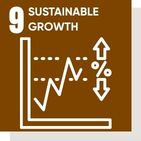 Sustainable Growth